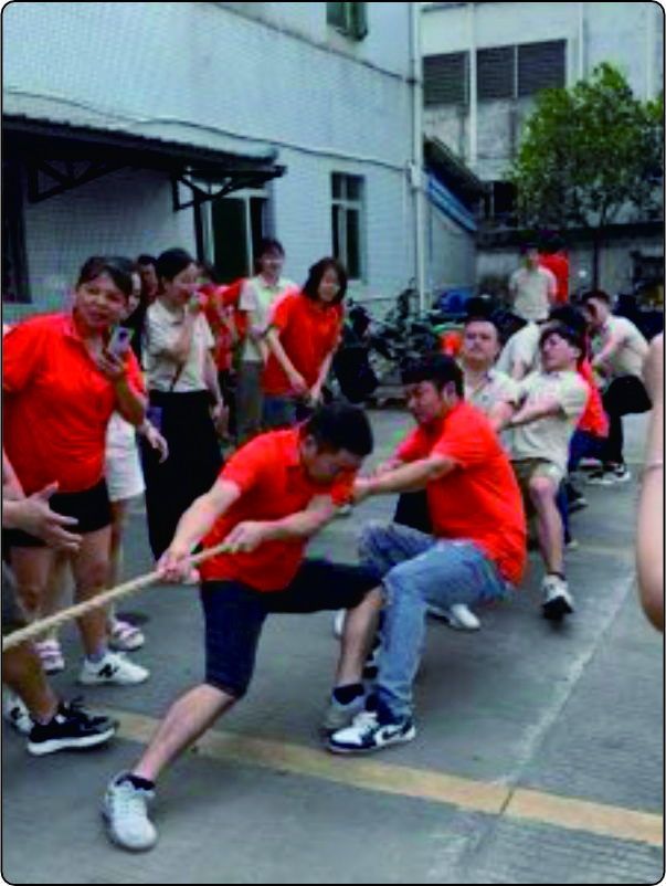 Brand identity package with logo and visual elements